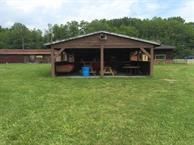 Paws Along the Mohawk: 4057 Amsterdam Rd, Schenectady, NY 12302